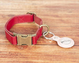 Scobby Leather Dog Collar g22 Bouletta