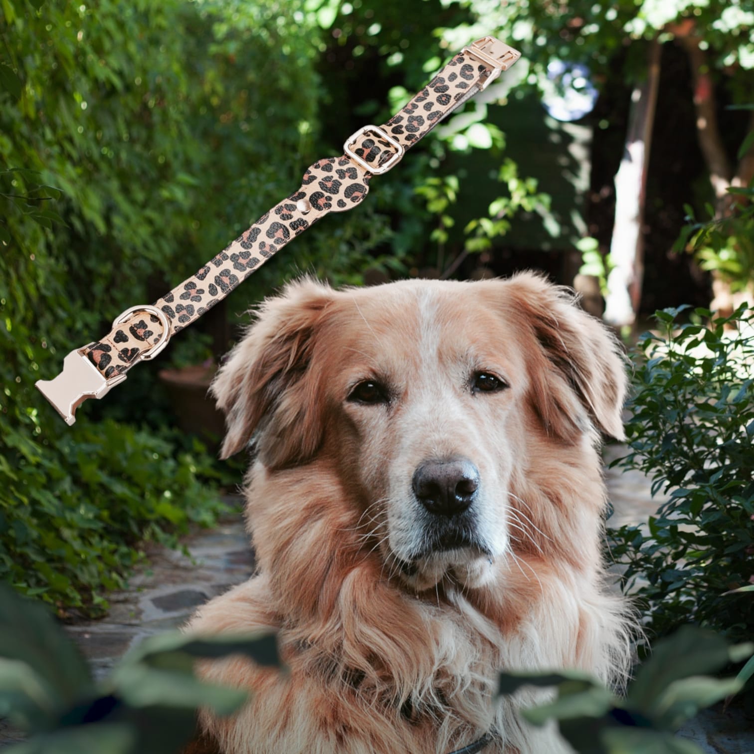 Gerçek Deriden El Yapımı Köpek Tasması, Apple AirTag Uyumlu Yuva, 50cm Ayarlanabilir Ölçü, Leopar Desen