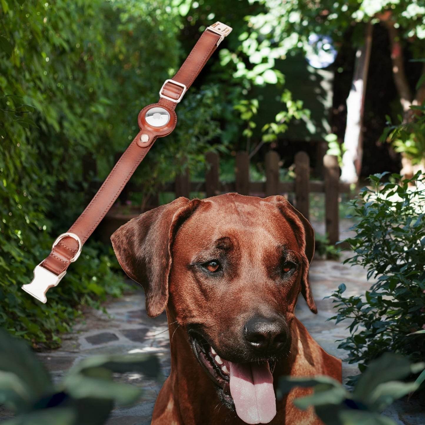 Handmade Dog Collar from Genuine Leather, Apple AirTag Compatible Slot, 50cm Adjustable Size, Tan 