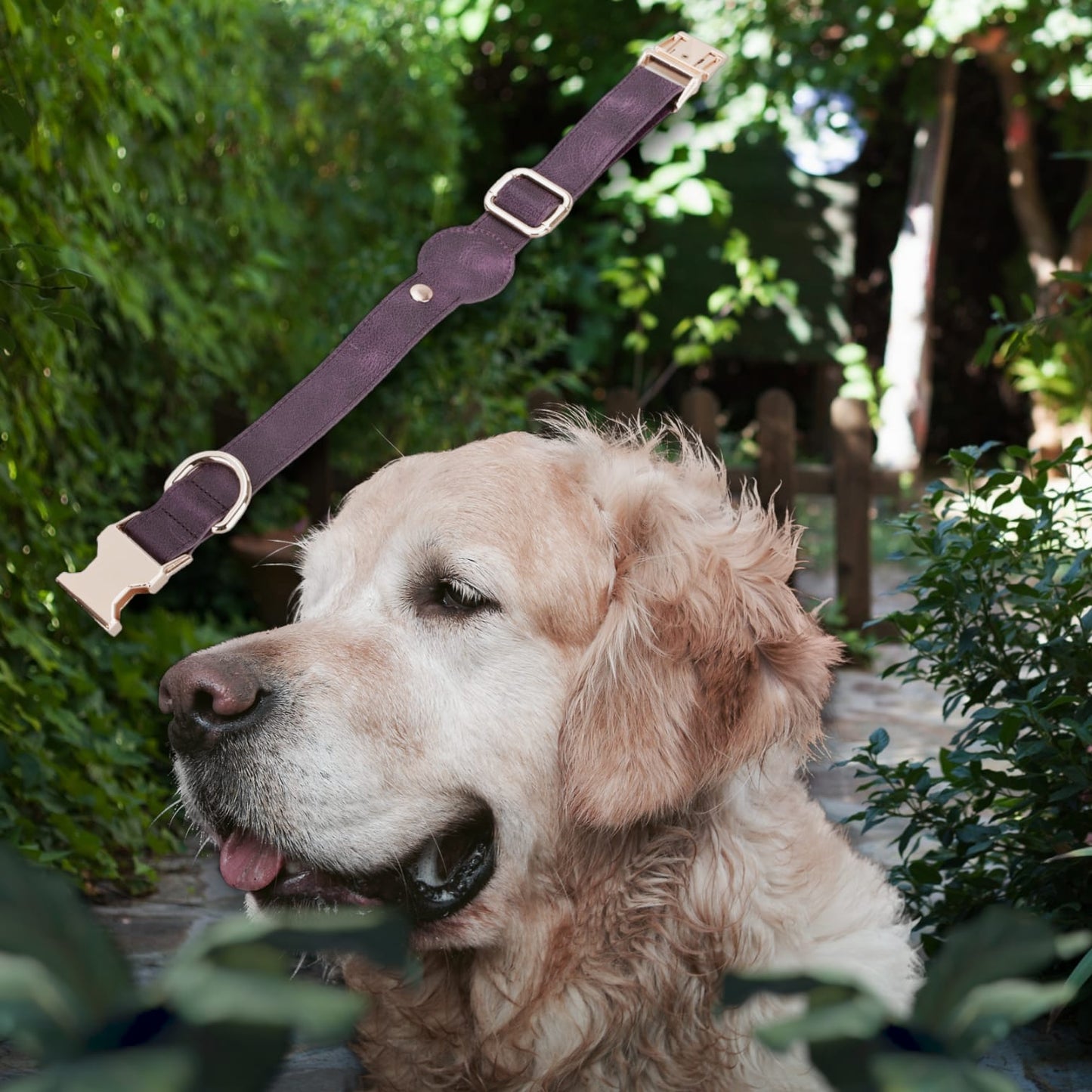 Handmade Dog Collar from Genuine Leather, Apple AirTag Compatible Slot, 50cm Adjustable Size, Antique Purple 